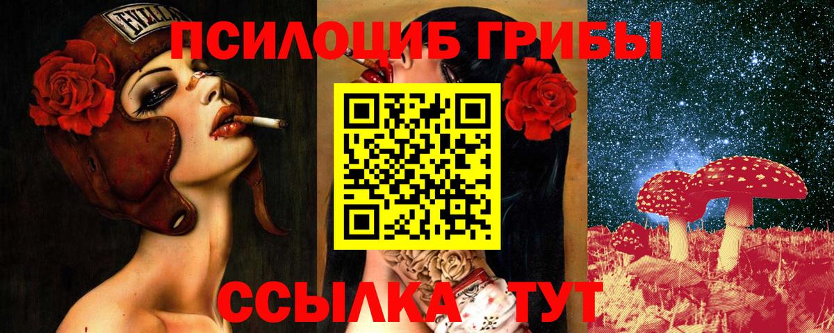 Галлюциногенные грибы прущие грибы Салават